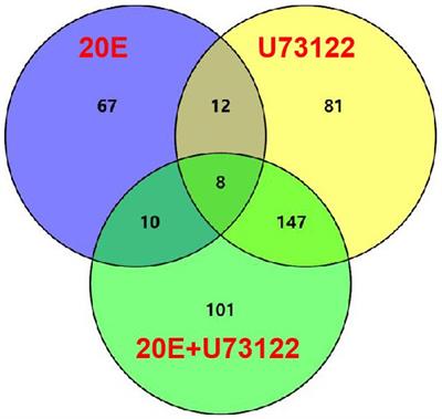 iTRAQ Proteomic Analysis of Interactions Between 20E and Phospholipase C in Apolygus lucorum (Meyer-Dür)